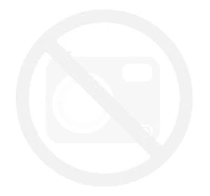 Brama Hormann Renomatic 2500x2125, Przetłoczenia M, Woodgrain, kolor antracytowy z efektem metalicznym CH 703 + Prowadzenie Z.png